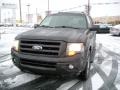 Carbon Metallic - Expedition Limited 4x4 Photo No. 2