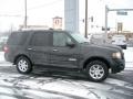 Carbon Metallic - Expedition Limited 4x4 Photo No. 8