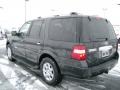 Carbon Metallic - Expedition Limited 4x4 Photo No. 13