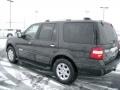 Carbon Metallic - Expedition Limited 4x4 Photo No. 14