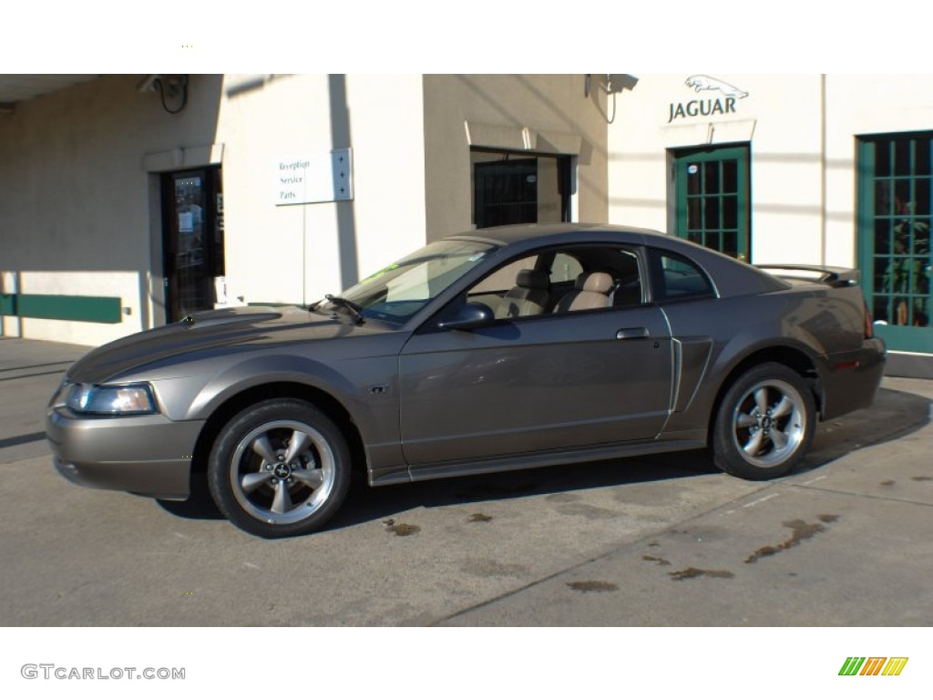 2001 Mustang GT Coupe - Mineral Grey Metallic / Medium Parchment photo #3