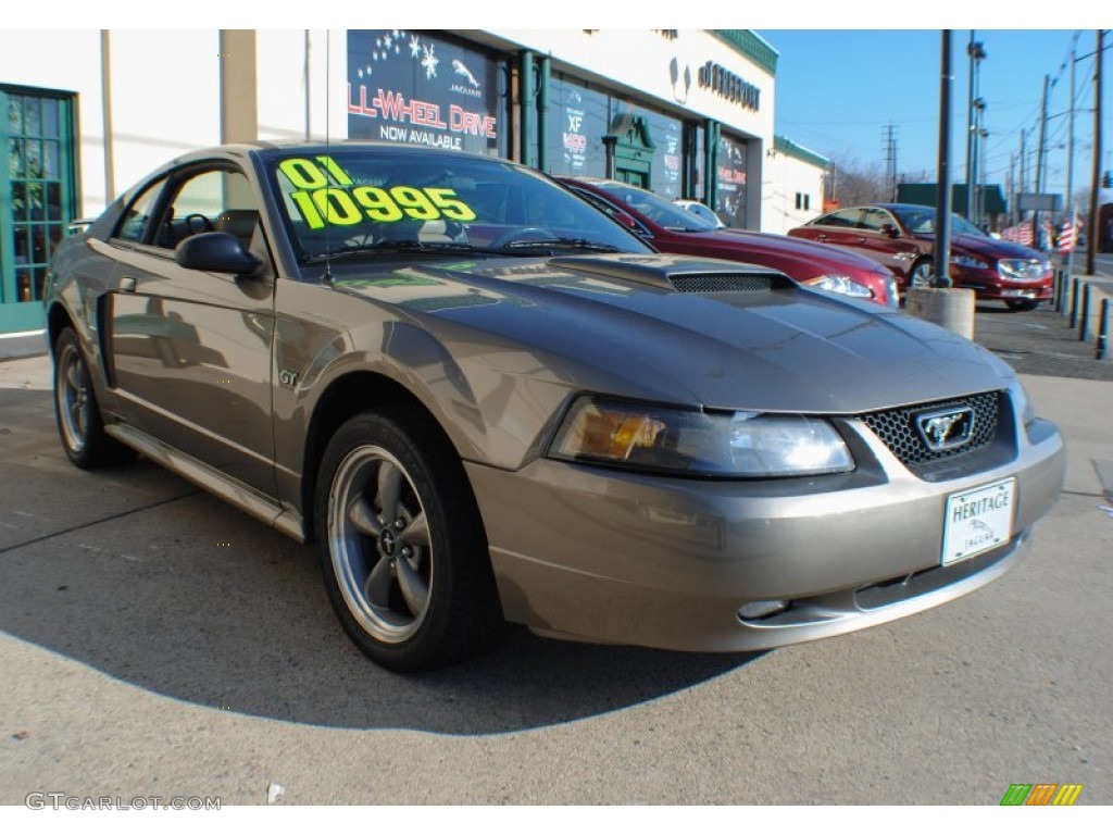 2001 Mustang GT Coupe - Mineral Grey Metallic / Medium Parchment photo #7