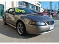 Mineral Grey Metallic - Mustang GT Coupe Photo No. 7