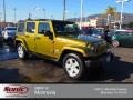 Rescue Green Metallic 2007 Jeep Wrangler Unlimited Sahara