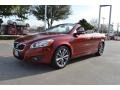 Flamenco Red Metallic - C70 T5 Photo No. 1