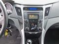 Radiant Silver - Sonata GLS Photo No. 13