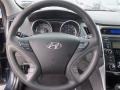 Pacific Blue Pearl - Sonata GLS Photo No. 12