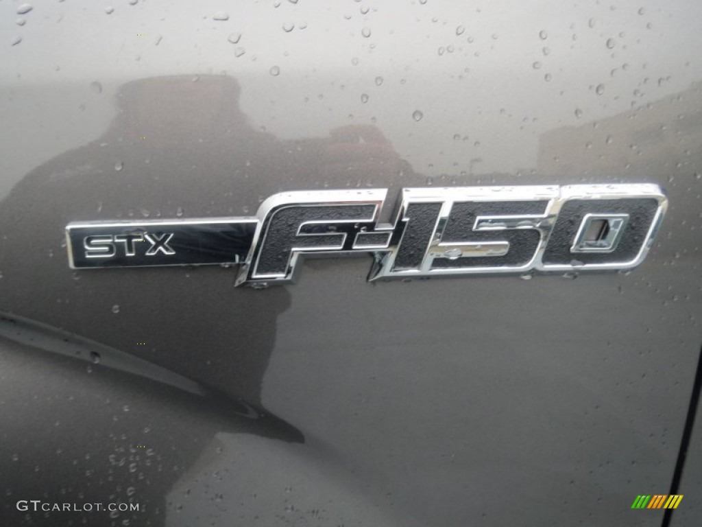 2013 Ford F150 STX Regular Cab STX F-150 Photo #75660239