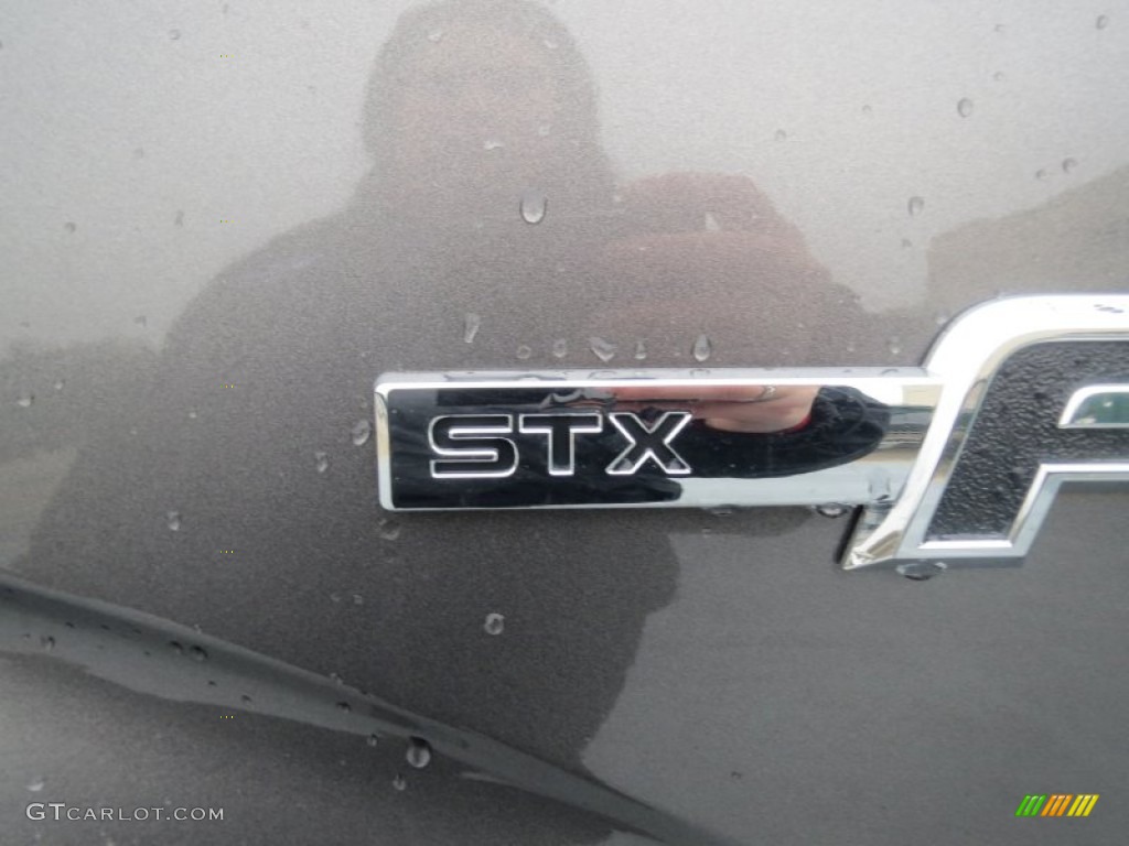 2013 F150 STX Regular Cab - Sterling Gray Metallic / Steel Gray photo #12
