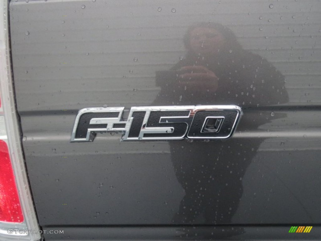 2013 F150 STX Regular Cab - Sterling Gray Metallic / Steel Gray photo #17