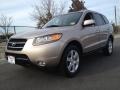 2007 Golden Beige Hyundai Santa Fe Limited 4WD  photo #1