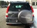 Pewter Pearl - CR-V SE 4WD Photo No. 5