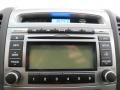Cocoa Black Audio System Photo for 2010 Hyundai Santa Fe #75667223