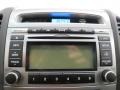 Cocoa Black Audio System Photo for 2010 Hyundai Santa Fe #75667223