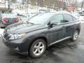 2010 Truffle Brown Mica Lexus RX 350 AWD  photo #2