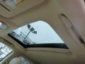 2010 Truffle Brown Mica Lexus RX 350 AWD  photo #7