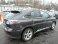 2010 Truffle Brown Mica Lexus RX 350 AWD  photo #11