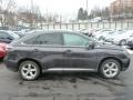 2010 Truffle Brown Mica Lexus RX 350 AWD  photo #12