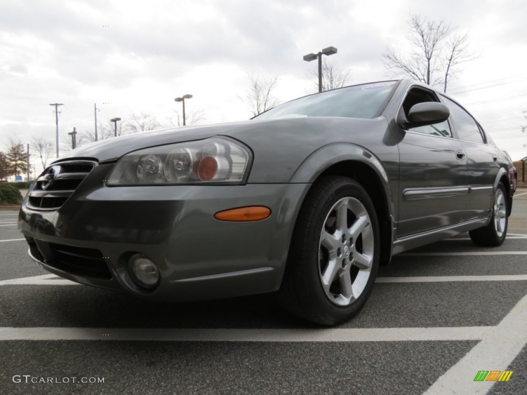 2003 Maxima SE - Gray Lustre / Frost photo #1