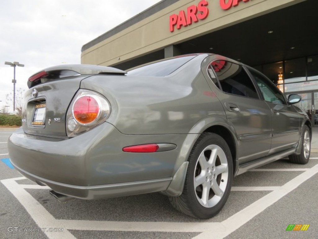 2003 Maxima SE - Gray Lustre / Frost photo #3