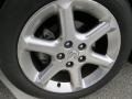 Gray Lustre - Maxima SE Photo No. 5