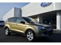 2013 Ginger Ale Metallic Ford Escape SE 1.6L EcoBoost  photo #1