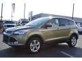 2013 Ginger Ale Metallic Ford Escape SE 1.6L EcoBoost  photo #6