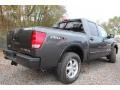 Smoke Gray - Titan Pro-4X Crew Cab 4x4 Photo No. 4