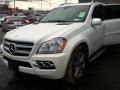 Arctic White - GL 450 4Matic Photo No. 2