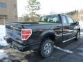 Tuxedo Black Metallic 2013 Ford F150 STX SuperCab 4x4 Exterior