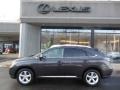 2010 Truffle Brown Mica Lexus RX 350 AWD  photo #2