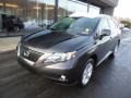 2010 Truffle Brown Mica Lexus RX 350 AWD  photo #3
