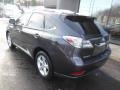 2010 Truffle Brown Mica Lexus RX 350 AWD  photo #7