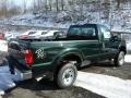 Green Gem Metallic 2013 Ford F250 Super Duty XL Regular Cab 4x4 Exterior