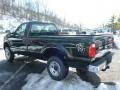 Green Gem Metallic - F250 Super Duty XL Regular Cab 4x4 Photo No. 4