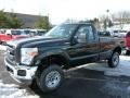 Green Gem Metallic - F250 Super Duty XL Regular Cab 4x4 Photo No. 5