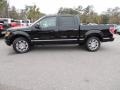 Ebony Black - F150 Platinum SuperCrew Photo No. 2