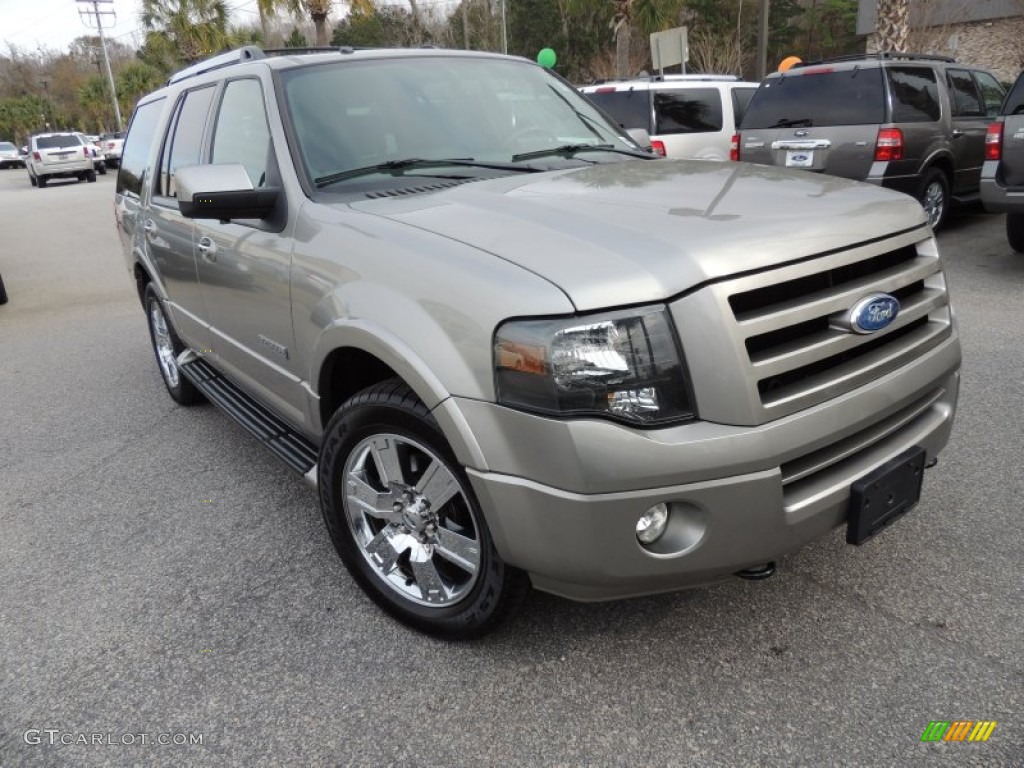 2008 Expedition Limited 4x4 - Vapor Silver Metallic / Charcoal Black photo #1