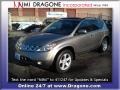 Polished Pewter Metallic - Murano SL AWD Photo No. 1