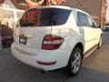 Arctic White - ML 350 4Matic Photo No. 5