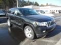 Black Forest Green Pearl - Grand Cherokee Laredo X Package 4x4 Photo No. 4