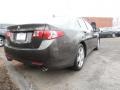 Grigio Metallic - TSX Sedan Photo No. 7