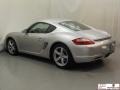 Arctic Silver Metallic - Cayman  Photo No. 19