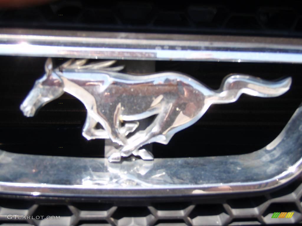 2003 Mustang GT Convertible - True Blue Metallic / Medium Parchment photo #52