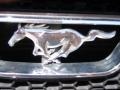 True Blue Metallic - Mustang GT Convertible Photo No. 52