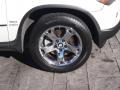 Alpine White - X5 3.0i Photo No. 2