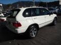 Alpine White - X5 3.0i Photo No. 8