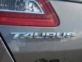 2013 Sterling Gray Metallic Ford Taurus SEL 2.0 EcoBoost  photo #4