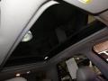 Light Platinum - SRX V6 Photo No. 18