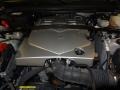Light Platinum - SRX V6 Photo No. 24